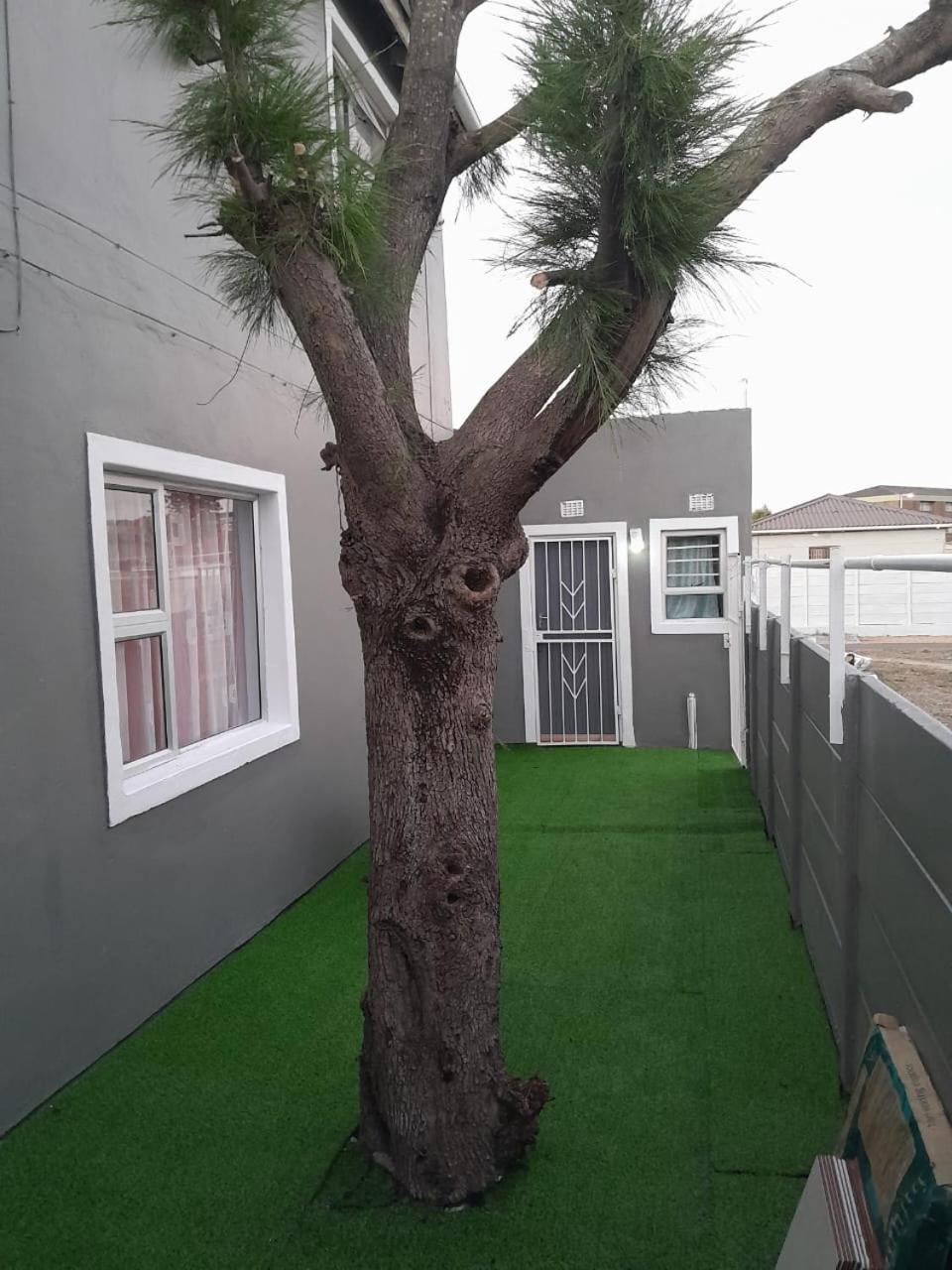 Brooklyn Queens And Kings Guesthouse Kaapstad Buitenkant foto